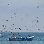  Ecuador